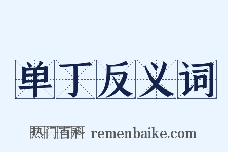 单丁反义词是什么意思的图片